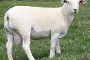 202401301706616601103468